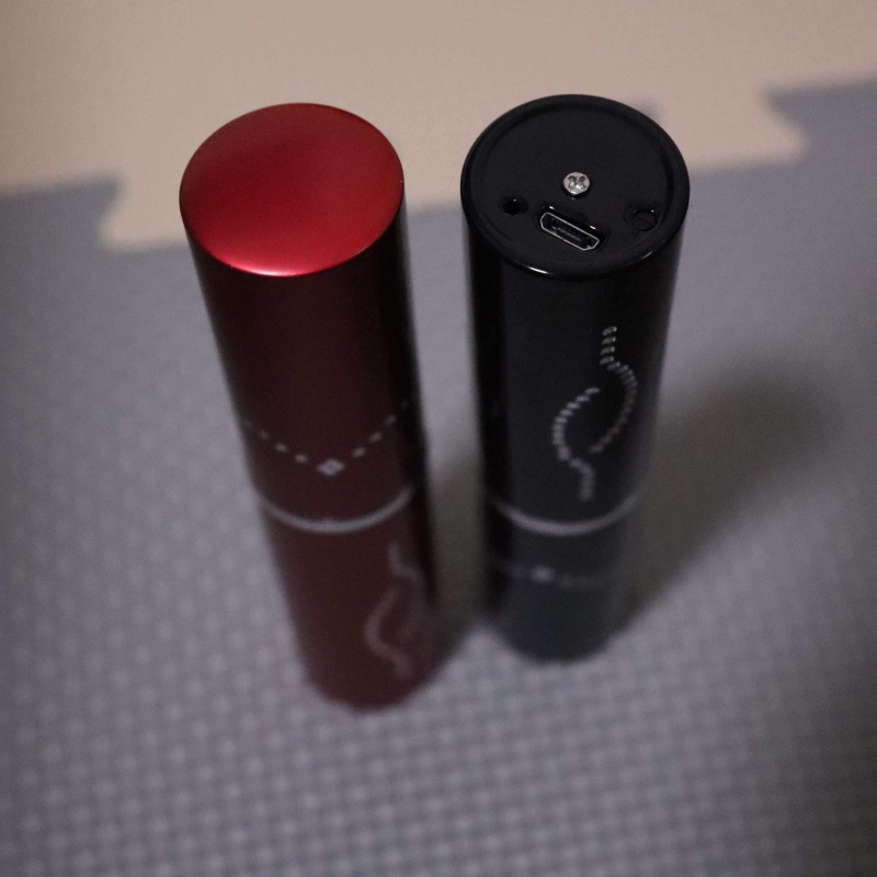 Hot Sale Portable Lipstick Pla - đánh giá và giá Led Mouth Tray
